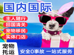 深圳航空托运国际宠物托运 【国